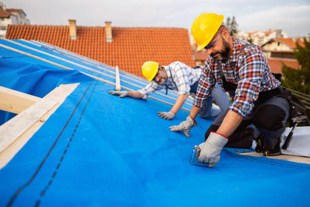 Best Roof Insulation Installation  in Kdeer, IL