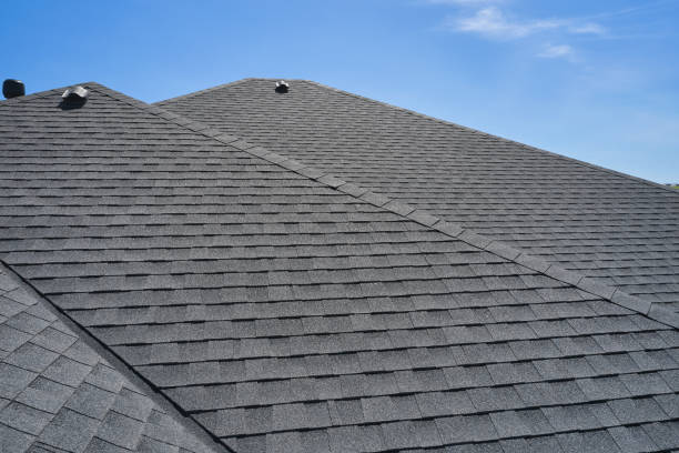 Professional Roofing Services in Kildeer, IL